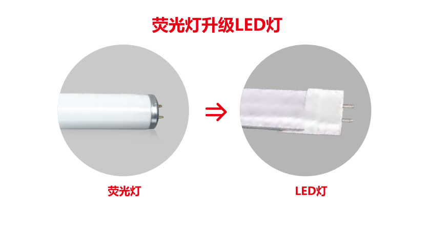 1770257201729013.png e7d0b15c-7878-47a2-931b-d29a9660fe0c.png